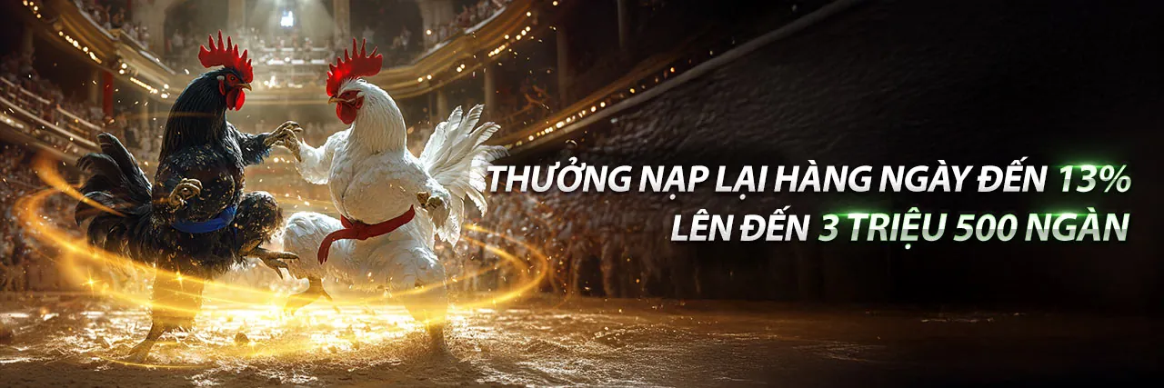Sân đấu đá gà trực tuyến sôi động tại rs99 code